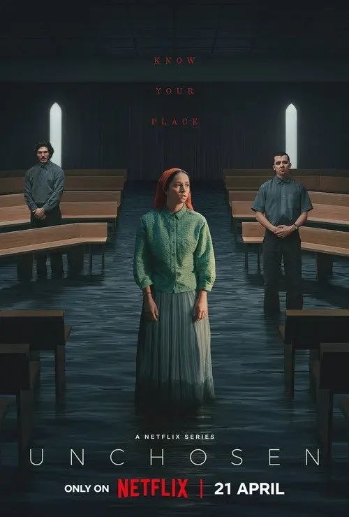 非选之人 (2026) 4K HDR - 夸克网盘 资源封面图