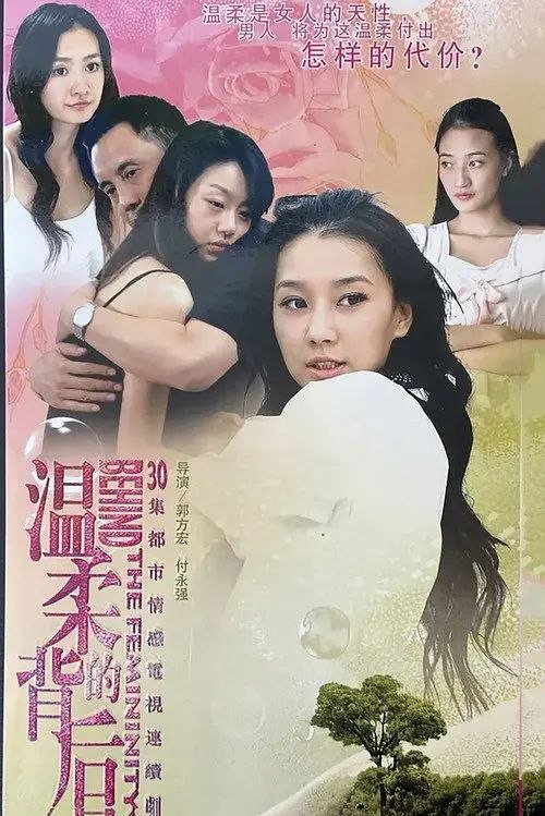 温柔的背后 (2008) 4K - 夸克网盘 资源封面图