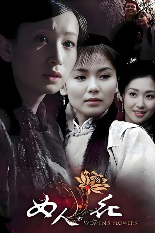女人花 (2008) 4K - 夸克网盘 资源封面图