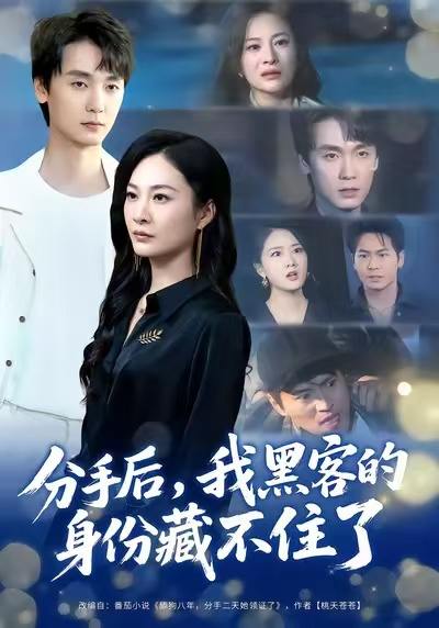 分手后，我黑客的身份藏不住了（80集）宋雯娟&唐元盛 - 百度网盘 资源封面图