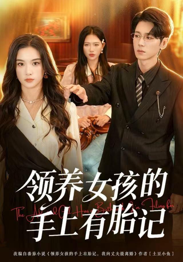 领养女孩的手上有胎记（60集）王宇婧&刘君尧 - 阿里云盘 资源封面图