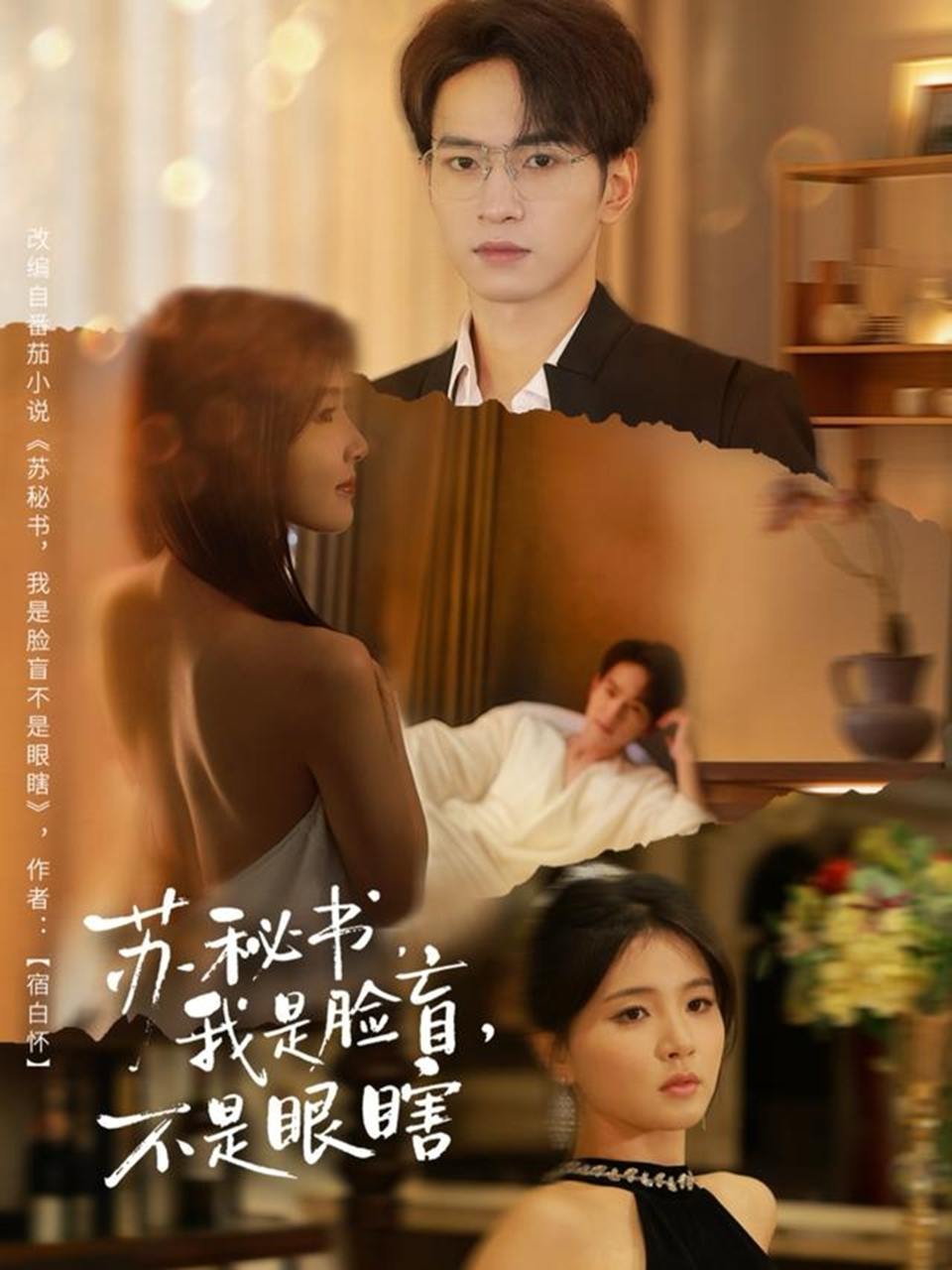 苏秘书我是脸盲不是眼瞎（80集）朱礼仪＆张许焓 - 百度网盘 资源封面图