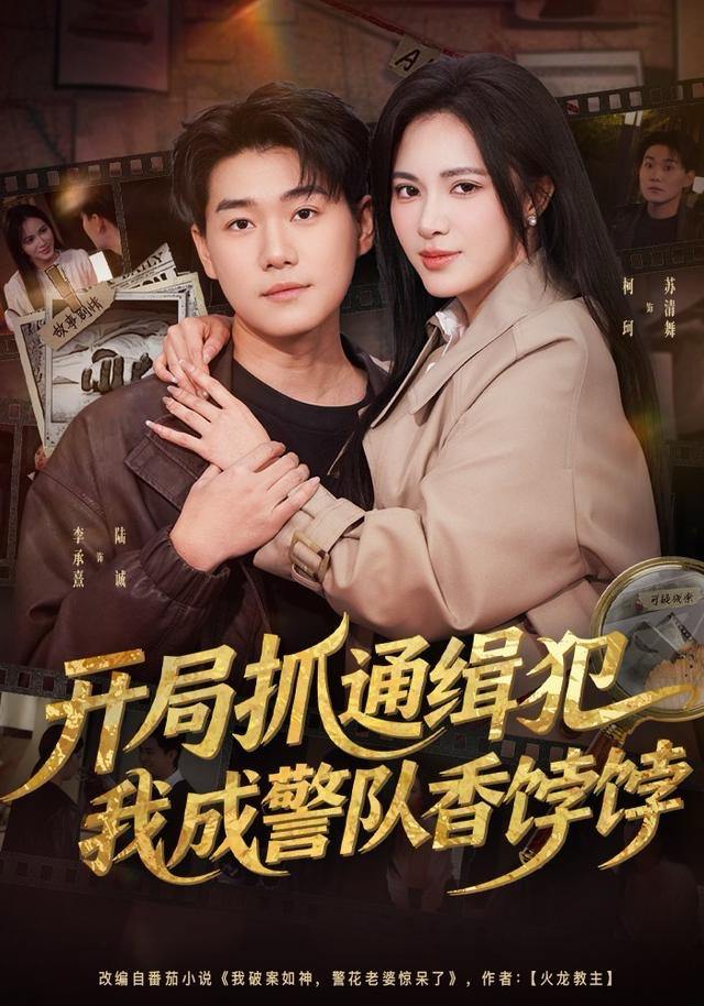 开局抓通缉犯，我成警队香饽饽（84集）李承熹＆柯珂（柯以） - 百度网盘 资源封面图