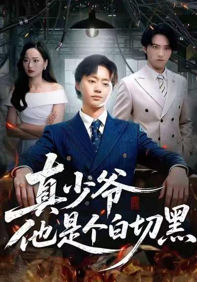 真少爷他是个白切黑（75集）周翔&何嘉仪 - 百度网盘 资源封面图