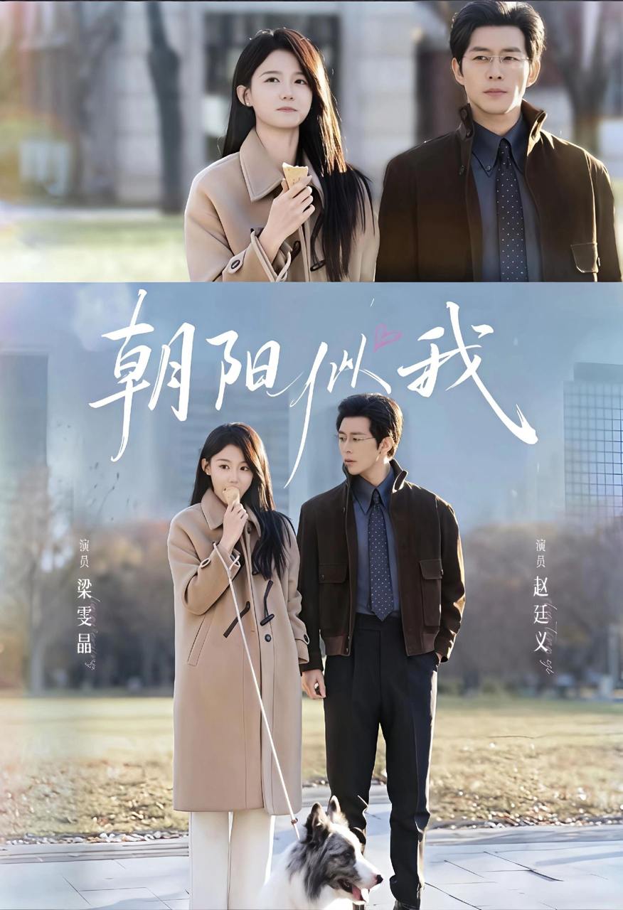 朝阳似我&养成偏差（81集）赵廷义＆梁雯晶 - 百度网盘 资源封面图