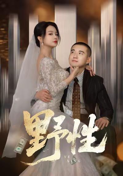 野性＆分手后，顶头上司要嫁我（70集）阎论＆梦露 - 百度网盘 资源封面图