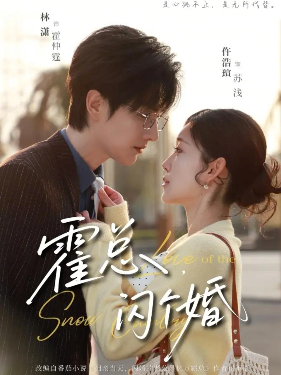 霍总闪个婚（86集）仵浩瑄&林潇 - 百度网盘 资源封面图