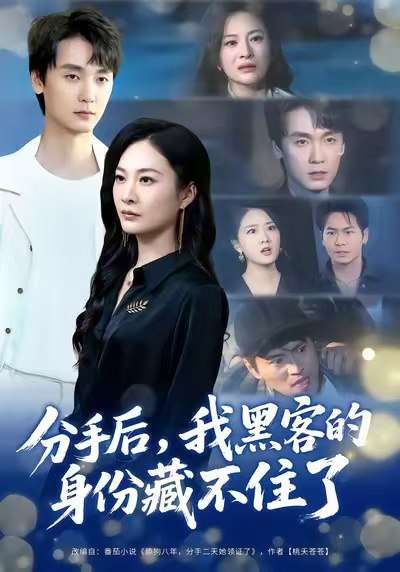 分手后，我黑客的身份藏不住了（80集）宋雯娟&唐元盛|短剧 - 百度网盘 资源封面图