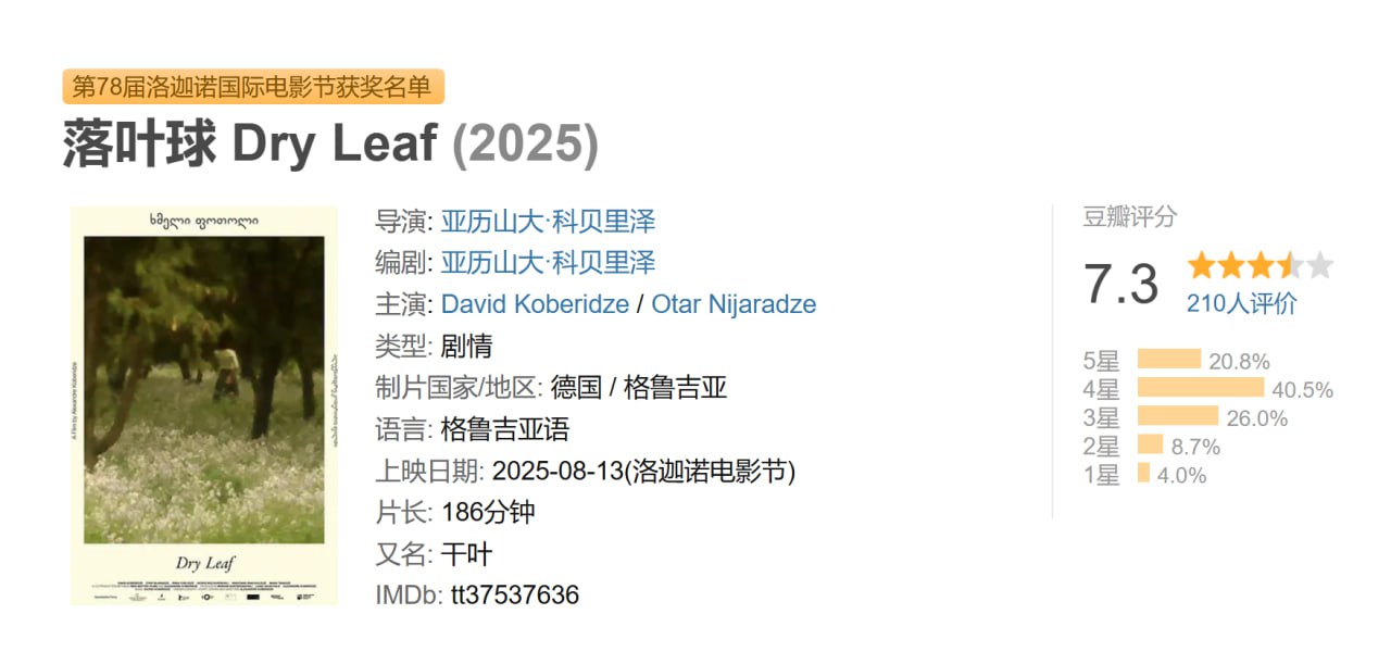 落叶球2025 - 夸克网盘 资源封面图