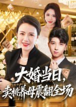 27.大婚当日，卖桃养母震翻全场（70集）唐依迪&卢静 - 夸克网盘 资源封面图