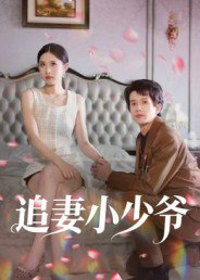 追妻小少爷（31集）曾旭航|短剧 - 百度网盘 资源封面图