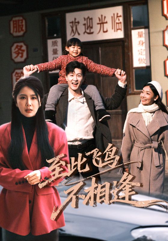 至此飞鸟不相逢（70集）丁海霞&王鹏|短剧 - 百度网盘 资源封面图