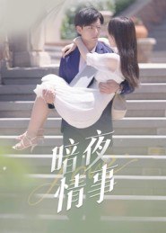 46.暗夜情事（100集）李豪&朱梦怡 - 夸克网盘 资源封面图