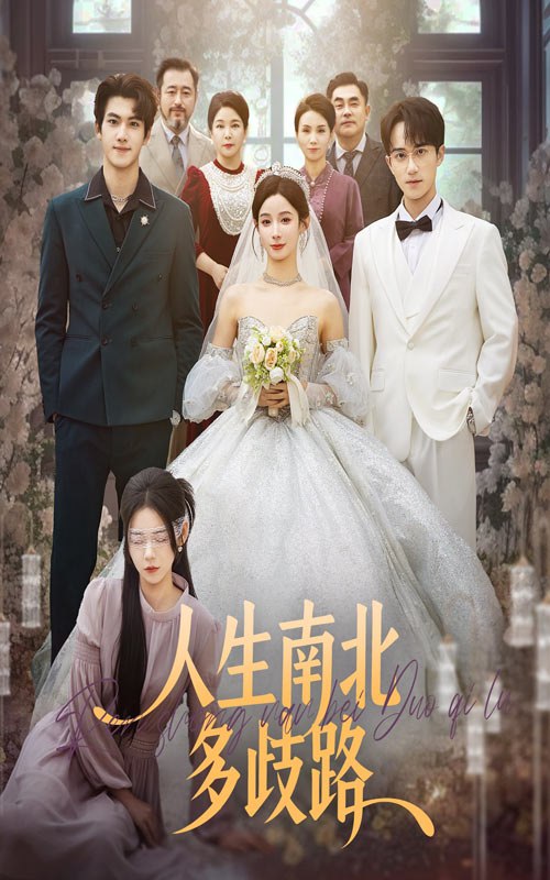 人生南北多歧路（45集）谭心＆辛灏云|短剧 - 百度网盘 资源封面图