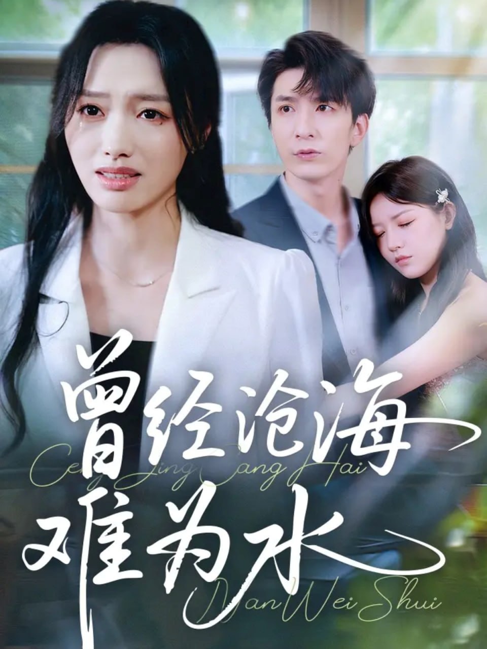 曾经沧海难为水（60集）韩旭&王梦佳|短剧 - 百度网盘 资源封面图