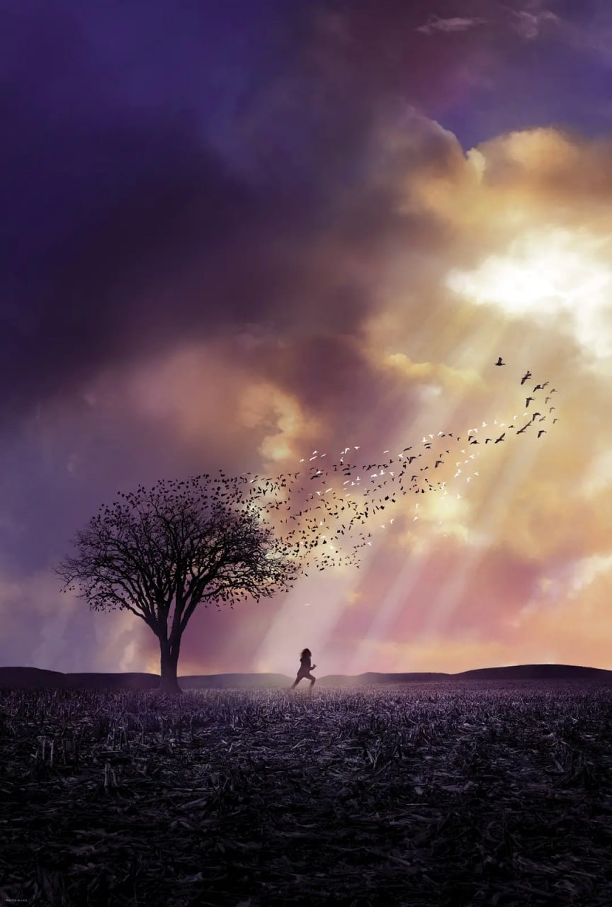 可爱的骨头 - 夸克网盘 资源封面图