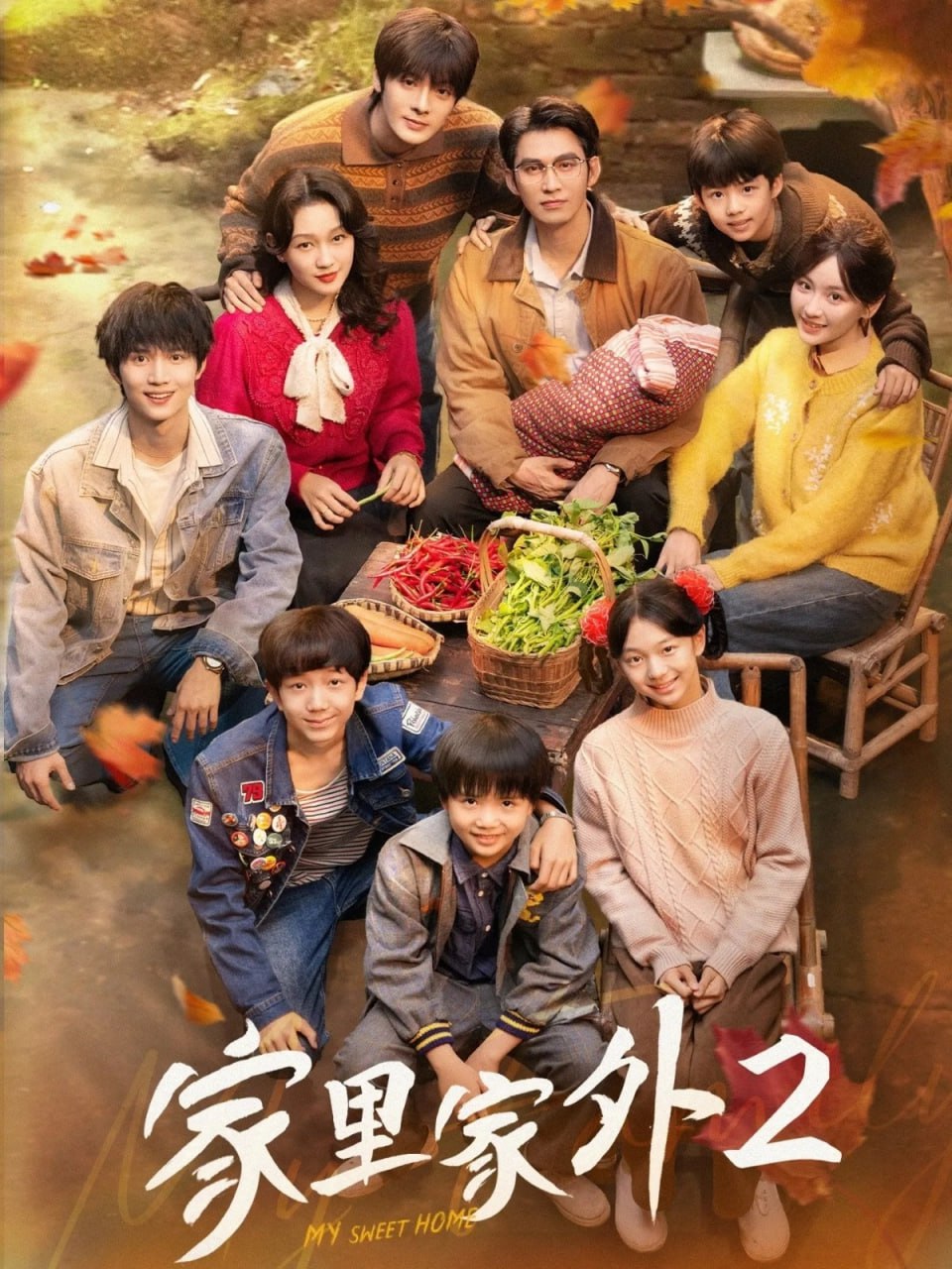 家里家外2（111集）王道铁＆孙艺燃＆王培延＆邓灵枢＆段美洋|短剧 - 百度网盘 资源封面图