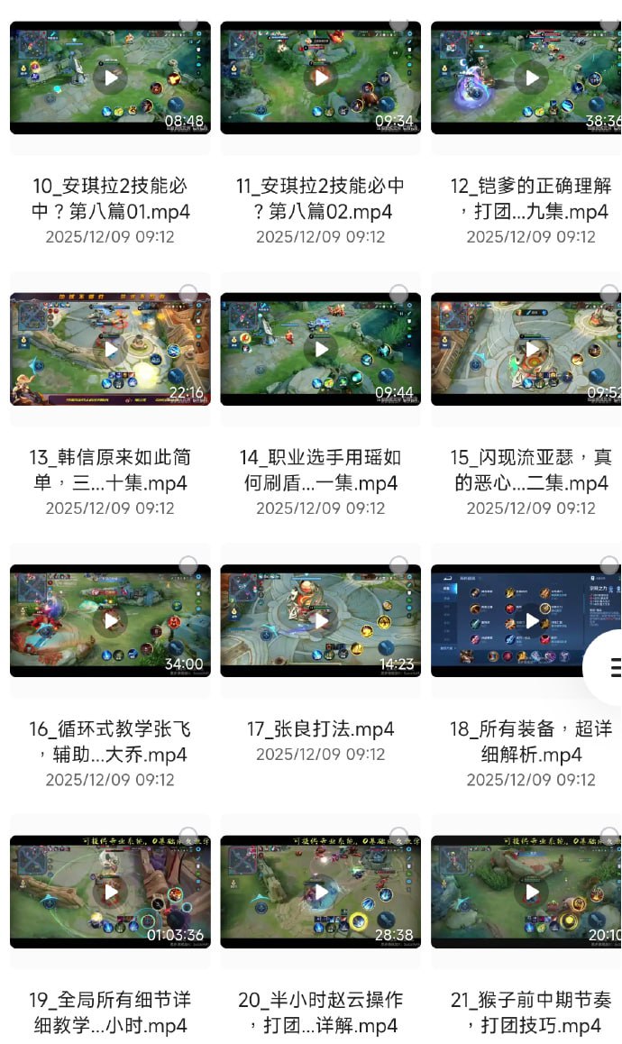 王者荣耀逆袭的一堂必修课，国服教练兰琋全英雄教学 - 夸克网盘 资源封面图