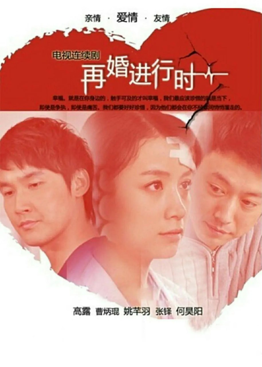 再婚进行时 (2011) - 百度网盘 资源封面图