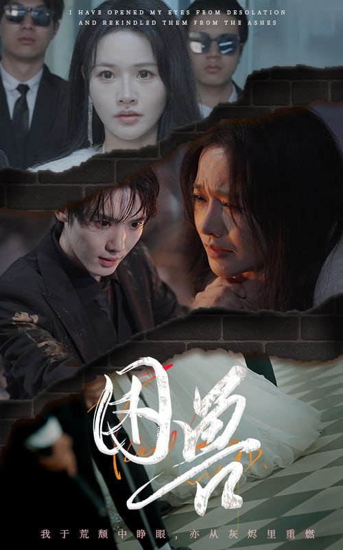 困兽(31集) - 夸克网盘 资源封面图