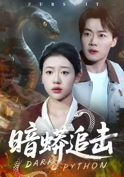 暗蟒追击（35集）王盈心＆赵文硕|短剧 - 百度网盘 资源封面图