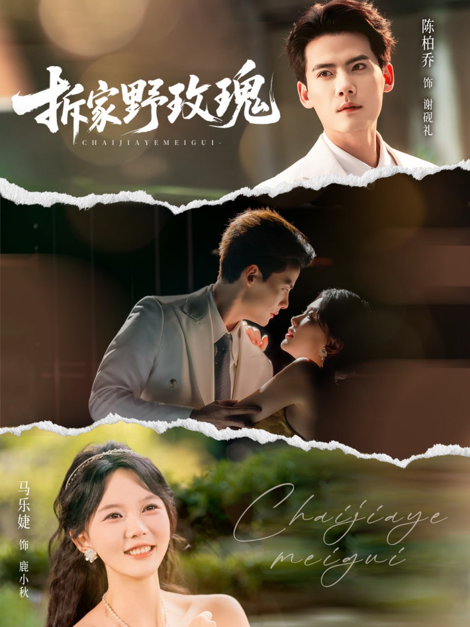 拆家野玫瑰（80集）陈刚＆马乐婕|短剧 - 百度网盘 资源封面图