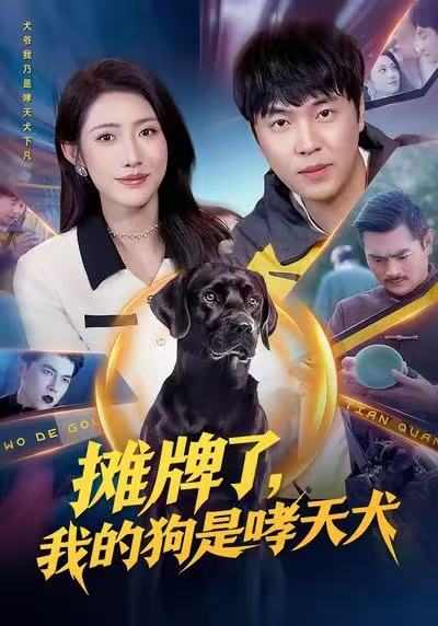 摊牌了，我的狗是哮天犬（98集）刘晨宇&张如意|短剧 - 百度网盘 资源封面图
