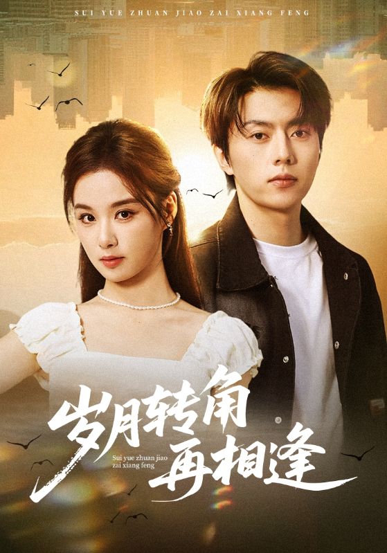 岁月转角再相逢（80集）张磊&王宇婧|短剧 - 百度网盘 资源封面图