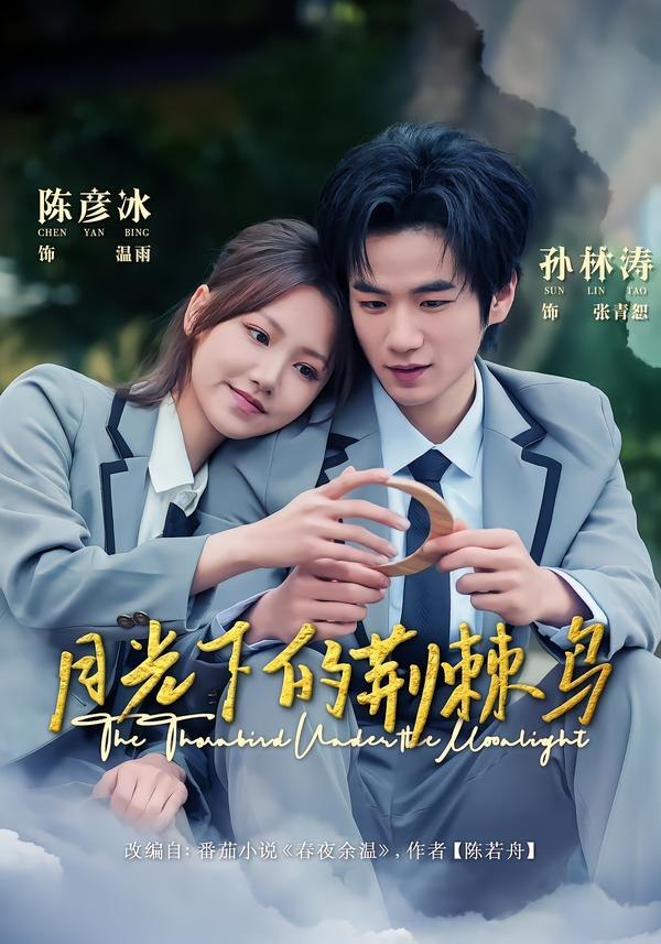 月光下的荆棘鸟（80集）陈彦冰＆孙林涛|短剧 - 百度网盘 资源封面图