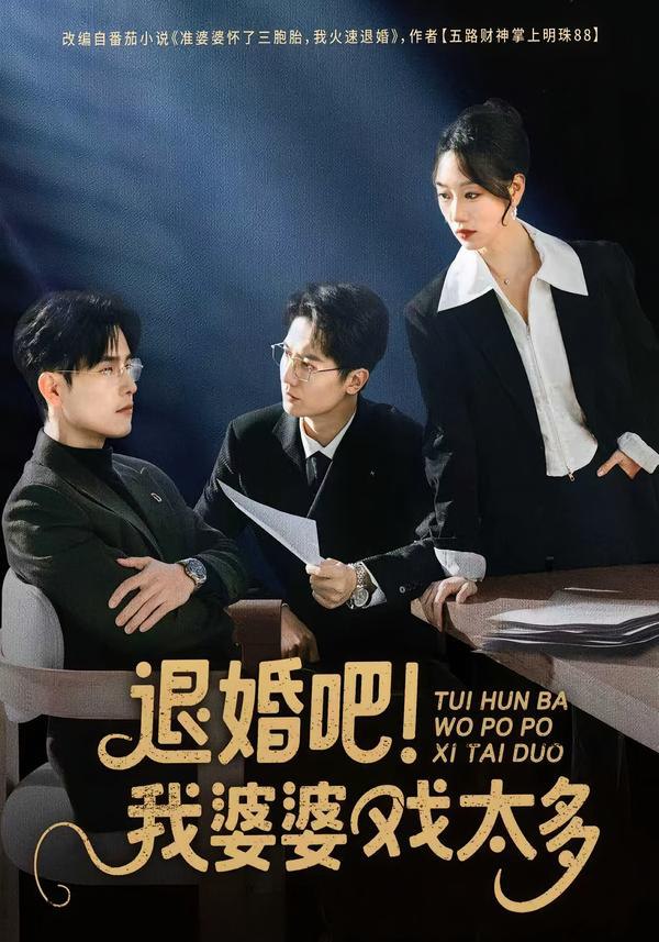 16.退婚吧！我婆婆戏太多（60集）倪浩森＆麦童 - 夸克网盘 资源封面图