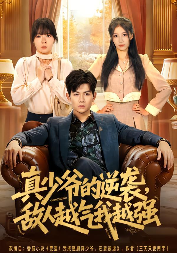 真少爷的逆袭，敌人越气我越强（78集）孙羽中&韩思懿 - 百度网盘 资源封面图