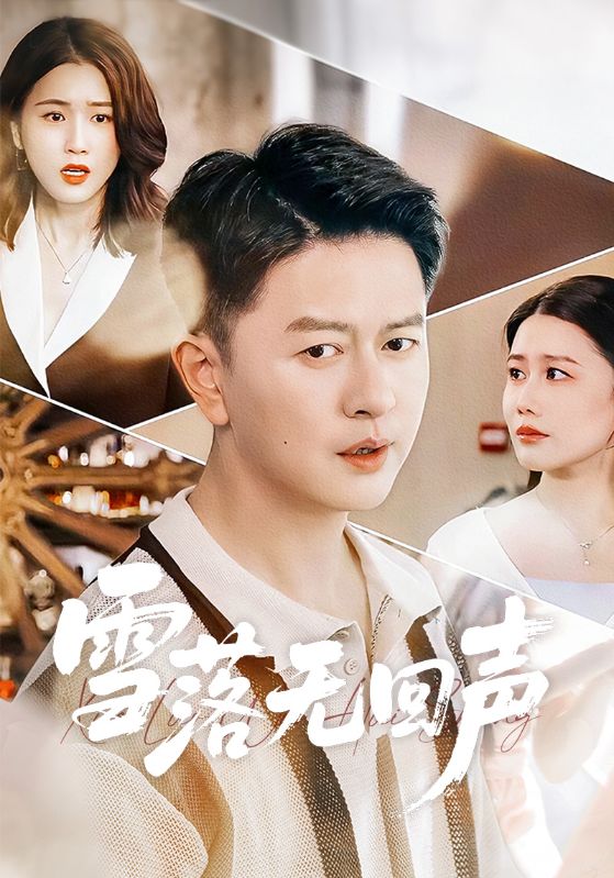 雪落无回声（60集）雷鹏宇＆周颖|短剧 - 百度网盘 资源封面图