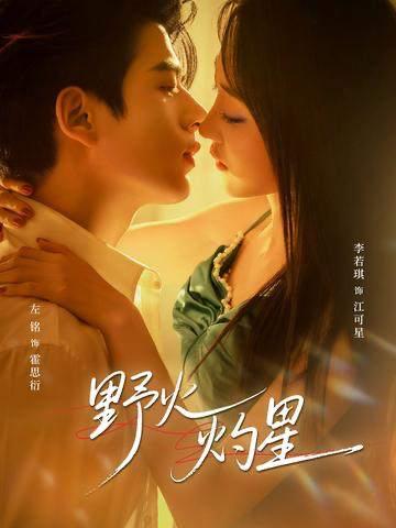 野火灼星（56集）左铭＆李若琪 - 阿里云盘 资源封面图