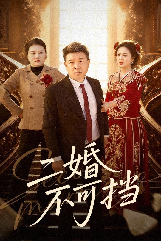 二婚不可挡（36集）任志宏&杨一|短剧 - 百度网盘 资源封面图
