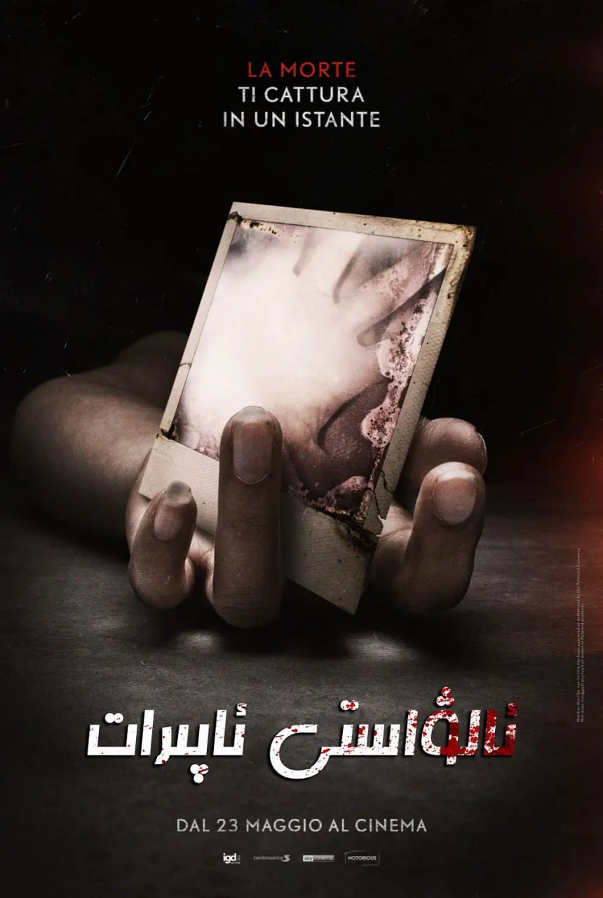 拍栗得 - 夸克网盘 资源封面图