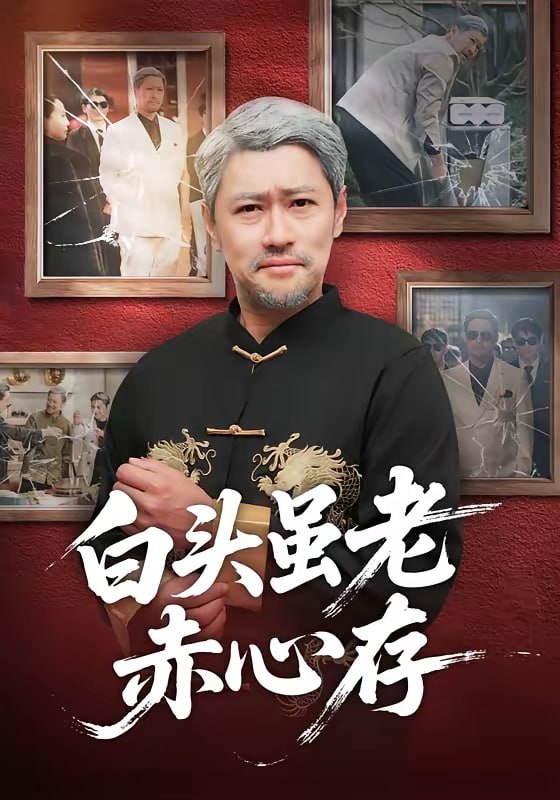 白头虽老赤心存（71集）王争＆王晨|短剧 - 百度网盘 资源封面图