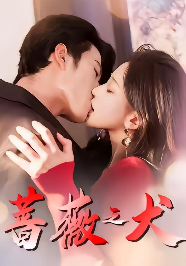 蔷薇之犬（60集）齐宥澄＆韩录锦|短剧 - 百度网盘 资源封面图