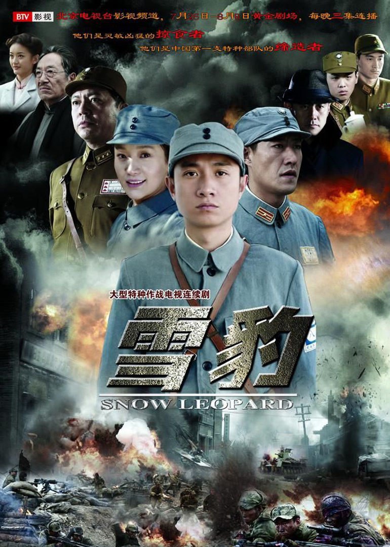 【国剧】雪豹 全40集 国语中字 2010 1080P - 百度网盘 资源封面图