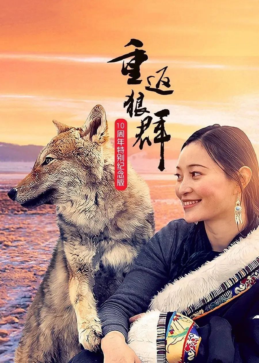 重返狼群 10周年特别纪念版(2021)【10集全】【4K.高码率】【内嵌简中】 - 百度网盘 资源封面图