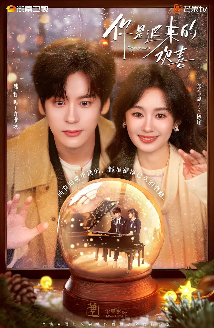 你是迟来的欢喜（2026）4K  S01E01-E06 - 百度网盘 资源封面图