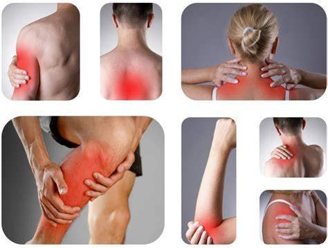 《体态康复课程》FSN运动康复出品 - 夸克网盘 资源封面图