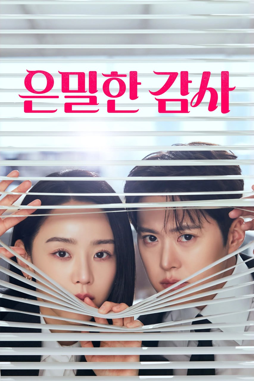 隐秘的监察 은밀한감사 (2026) [1080P] [内封简繁] [更至4集] - 百度网盘 资源封面图