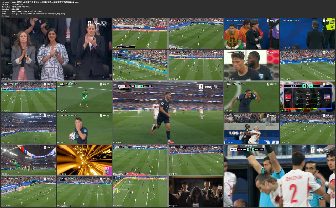2026世界杯小组赛第三轮 土耳其 vs 美国【超清4K 粤语英语双语解说可选】 - 百度网盘 资源封面图