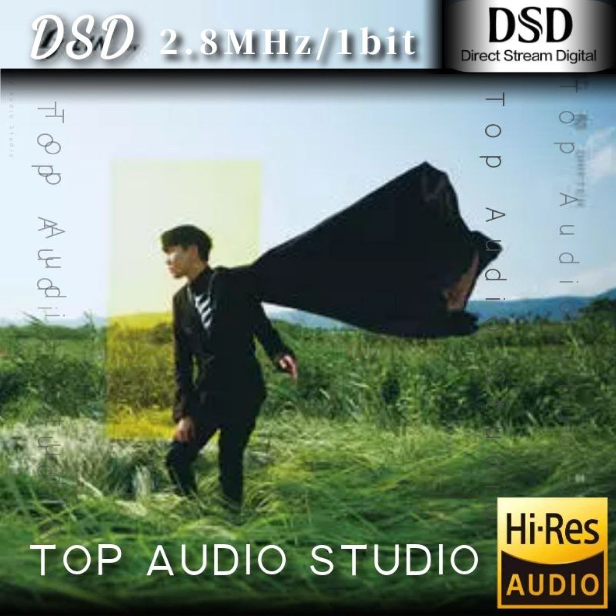 林俊杰 幸存者 Drifter DSD dsf - 百度网盘 资源封面图