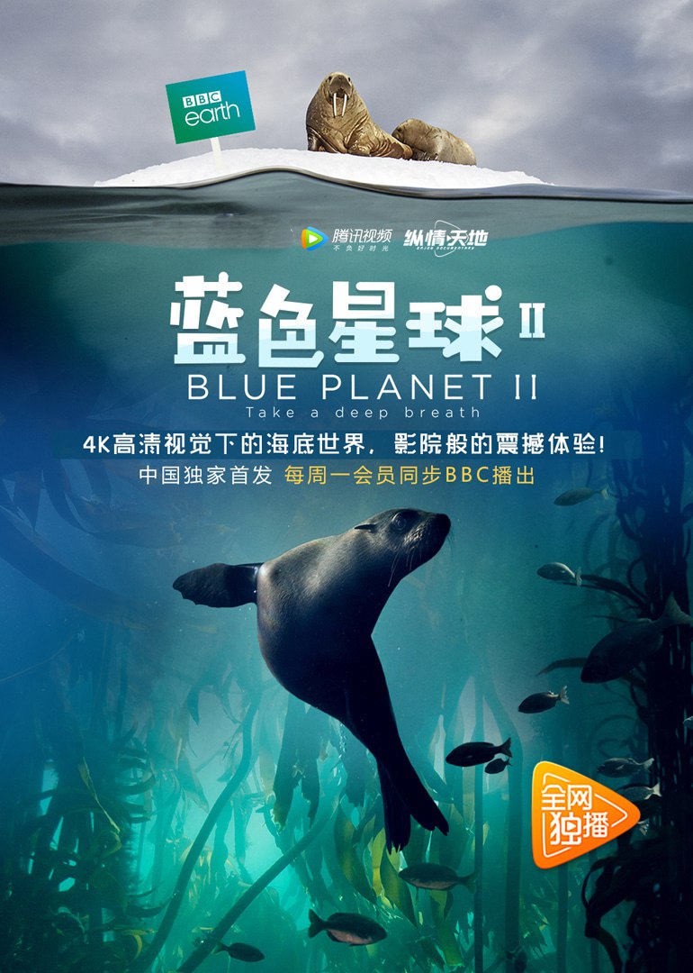 蓝色星球 第二季 Blue Planet Season 2 (2017) 4K HDR 国粤英三语 内封简繁英双语特效SUP字幕 - 百度网盘 资源封面图