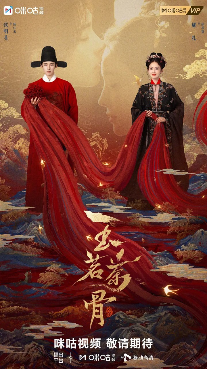 玉茗茶骨 (2025) 全36集【1080P 无广告无台标无字幕 侯明昊/古力娜扎/陈若轩】 - 百度网盘 资源封面图