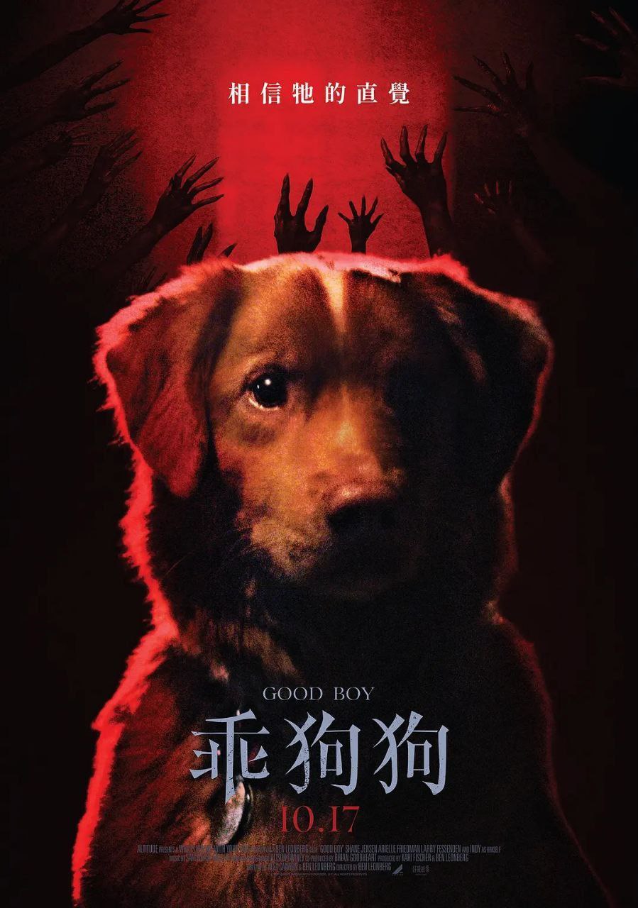 好狗狗 (2025) - 夸克网盘 资源封面图