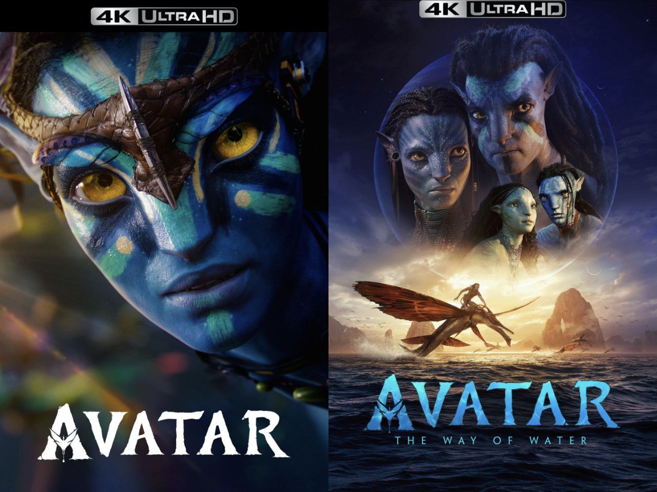 阿凡达(两部合集)【4K.REMUX UHD原盘】【HDR10&杜比全景声】【国英双语】【内封简英双语特效字幕】 - 百度网盘 资源封面图