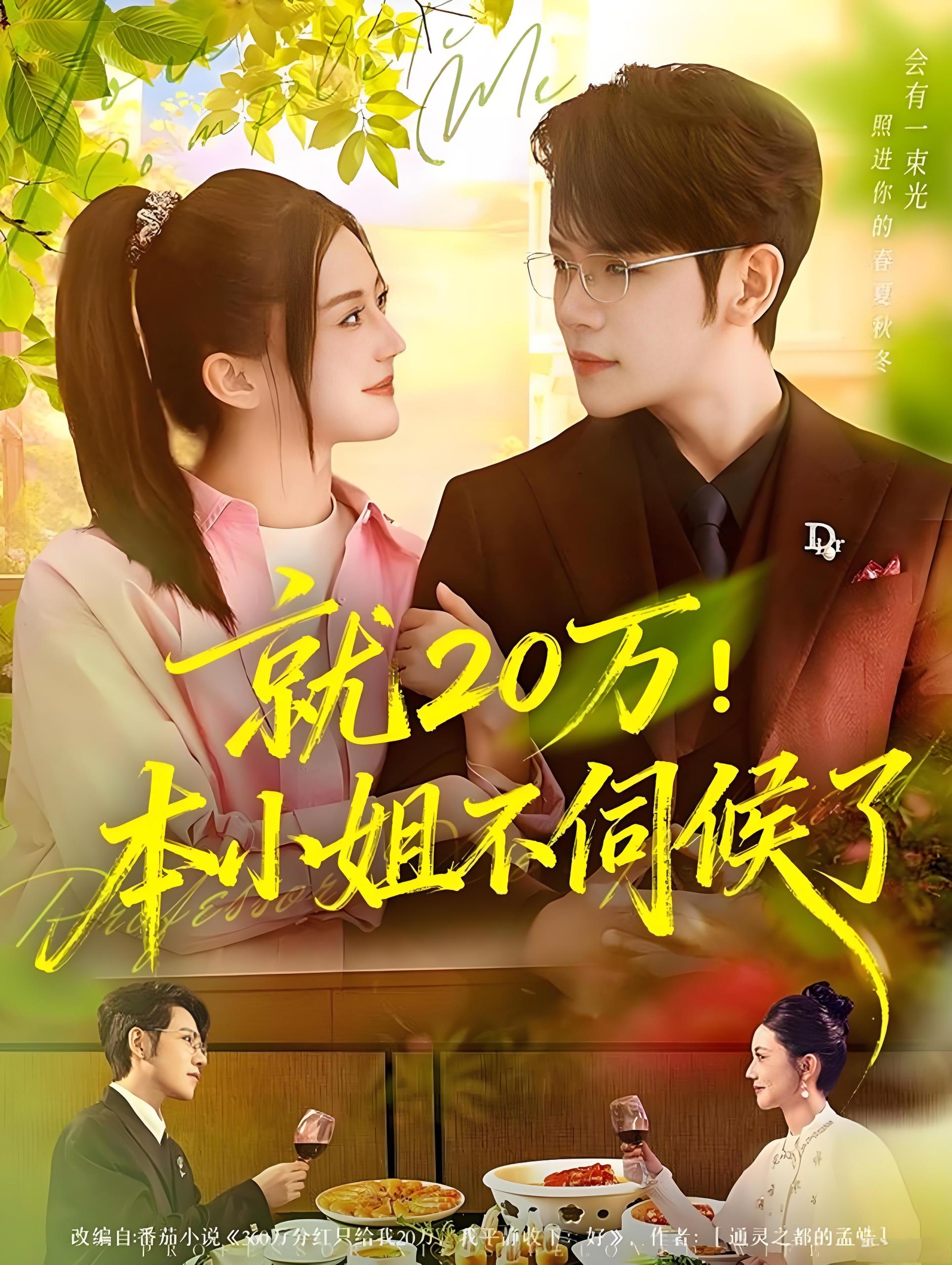 040468-就20万！本小姐不伺候了 (60集) 杨彦光&李家圆子 - 夸克网盘 资源封面图