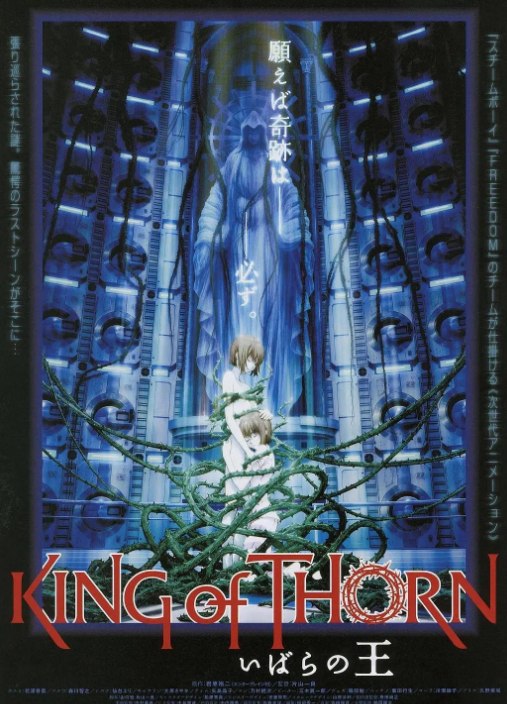 [古城荆棘王][2010][日语中字][1080P蓝光][6.5G] - 夸克网盘 资源封面图